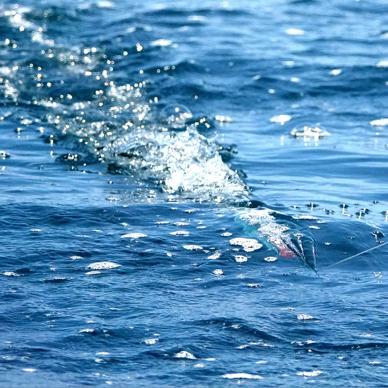 Viper - Bluewater Game Lures