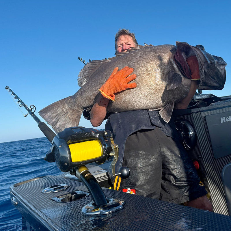 Electric (Power Assisted) Rod & Reels