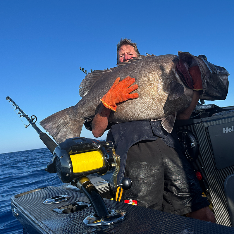 Deep Drop & Jigging Gear