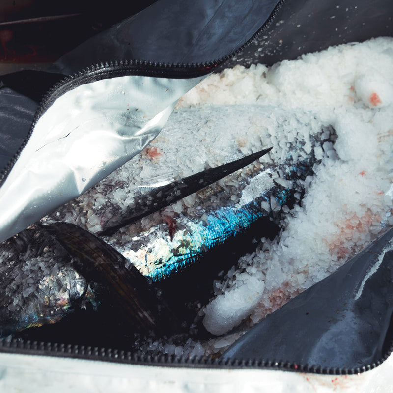 Tackle Bags & Storage