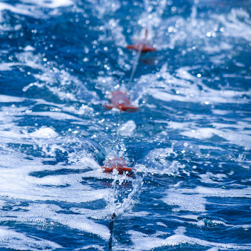 Viper Bluewater Teasers