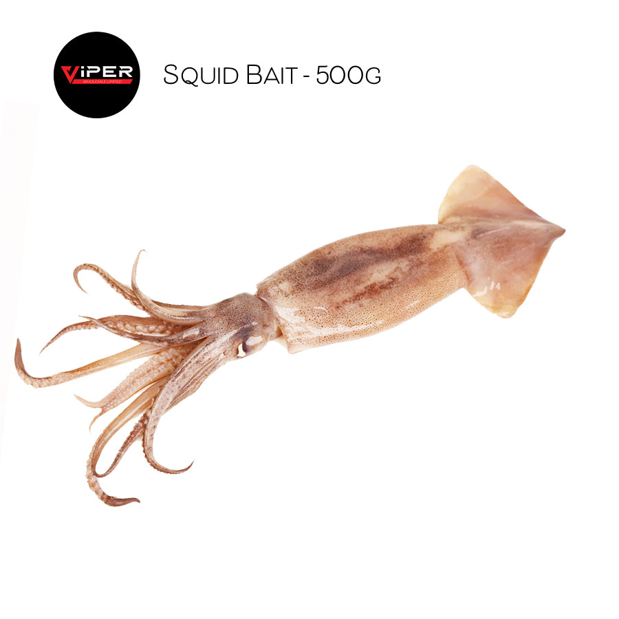 Squid - 500g