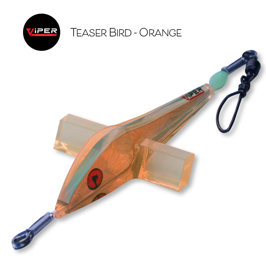 Viper - Teaser Birds (4 Colour Options)